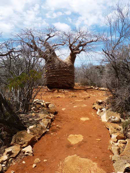 tour guidato in Madagascar